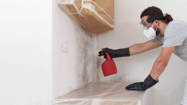 Professional Attic Mold Remediation technician working in Union, OR