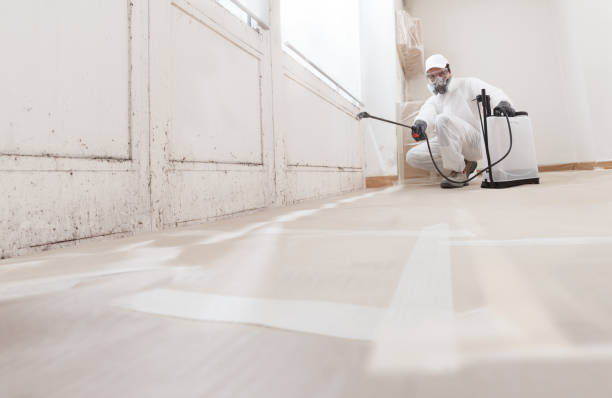24/7 Emergency Attic Mold Remediation experts in Union, OR